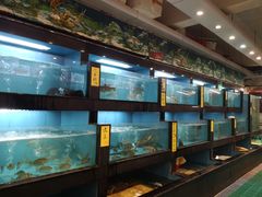 水产区-万山楼海鲜酒家·二十三年老字号