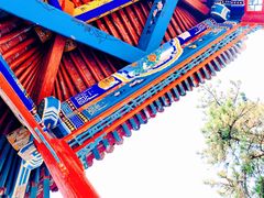 -六里坪国家森林公园