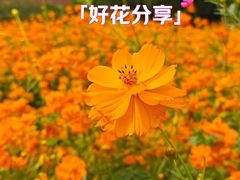 -北海公园