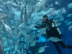 -上海海洋水族馆