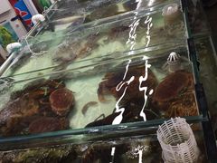 -南戴河海滨市场