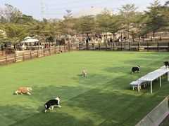 -盈香心动乐园