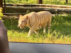 -秦皇岛野生动物园