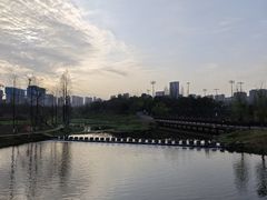 -洋湖国家湿地公园