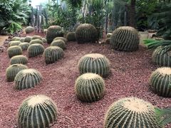 -呀路古热带植物园