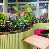 在美术馆里吃吃喝喝的春日全记录