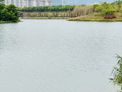 -飞来湖湿地公园