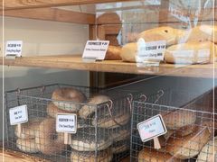 -Catch Bagel(芳草地店)