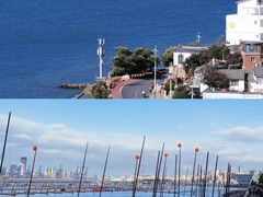 -三亚南山文化旅游区