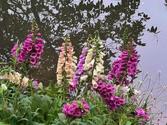 -人民公园(罗湖区)