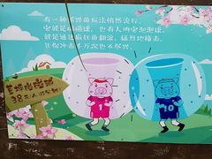 -田园东方蜜桃村的田野营地