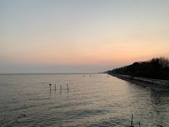 -贡湖湾湿地公园
