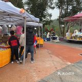 云南印象-普洱思茅-咖啡之一