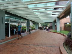 -香港大学