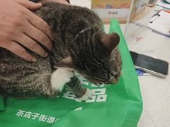 -安安宠医·臻爱宠物医院·宠保定点(营门口路分院)
