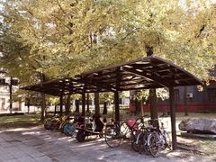 -四川大学(望江校区)