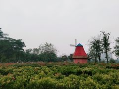 -东莞植物园