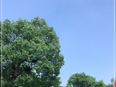 -韩湘水博园