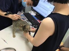 -中农大我爱我爱动物医院·核磁CT·猫病·24小时夜诊中心(石佛营店)