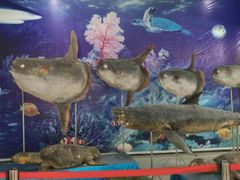 -南京金牛湖风景区