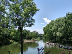 -大兴滨河森林公园