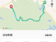 -阳台山森林公园