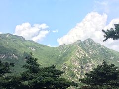 -牛背梁国家森林公园
