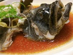 -鑫悦楼煎蟹·16年海鲜大排档