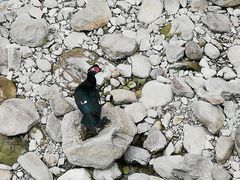 -雁荡山雁湖景区