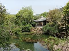 -东山风景区(洞庭东山)