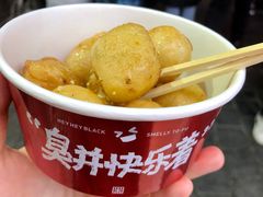 -黑色经典臭豆腐·湖南特产(坡子街店)