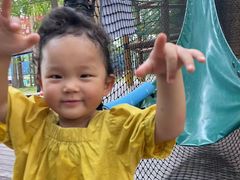 -黄海国家森林公园