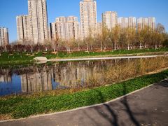 -永定河休闲森林公园