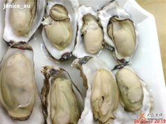 海蛎子-海岛渔村大酒店(云霄路店)