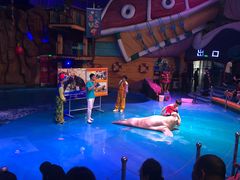 -烟台海昌鲸鲨海洋公园