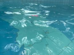-龙达温泉生态城