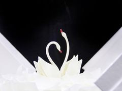 -BLACKSWAN黑天鹅(环球店)