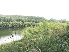 -西安汉城湖景区