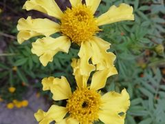 -白鹭湾湿地公园