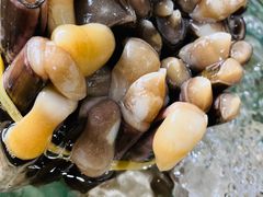 -聚鲜阁海鲜美食城(香水湾店)