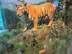 -陕西自然博物馆