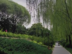 -元大都城垣遗址公园