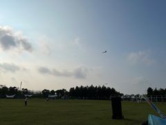 -春花秋色城市公园