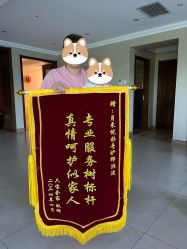 -月来悦好国际月子会所