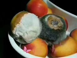 -蕾特恩专业祛痘·皮肤管理