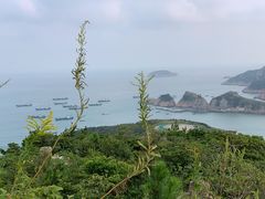 -枸杞岛