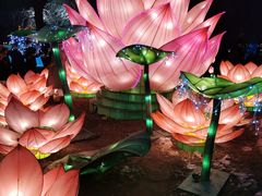 -长春市南湖公园