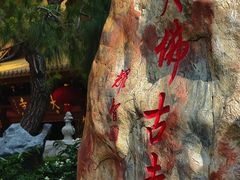 -大佛寺高级素食自助餐厅