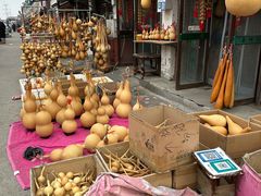 -中环花鸟鱼虫市场