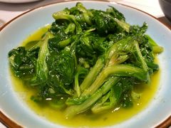 -席家花园(巨鹿花园店)
